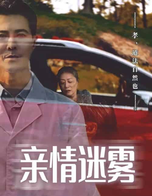 亲情迷雾（30集）-紫橙资源网