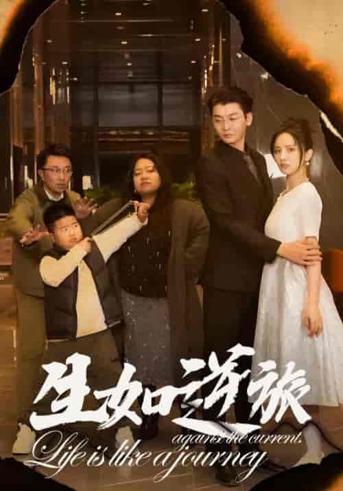 生如逆旅（31集全）-紫橙资源网