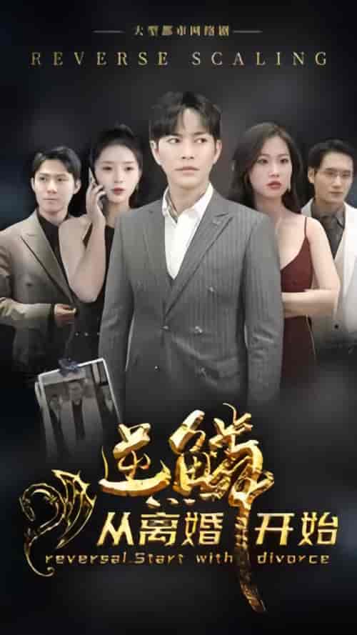 逆鳞从离婚开始（100集）-紫橙资源网