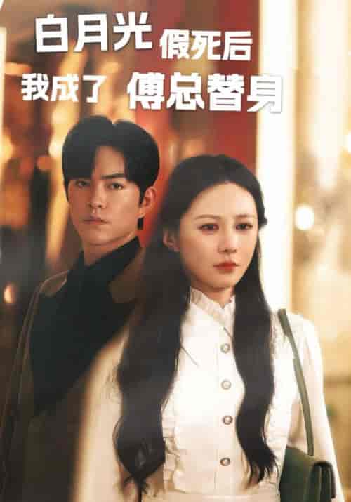 白月光假死后我成为傅总替身（60集全）傅少霆＆林熙-紫橙资源网