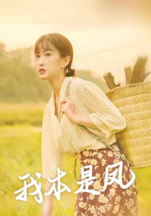 我本是凤（66集全）张亮＆秦芳-紫橙资源网