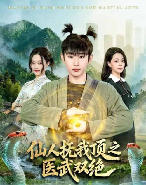仙人抚我顶之医武双绝（66集全）范经明＆李佑金-紫橙资源网
