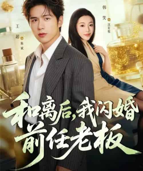 和离后,我闪婚前任老板(77集全)王超&韩笑-紫橙资源网