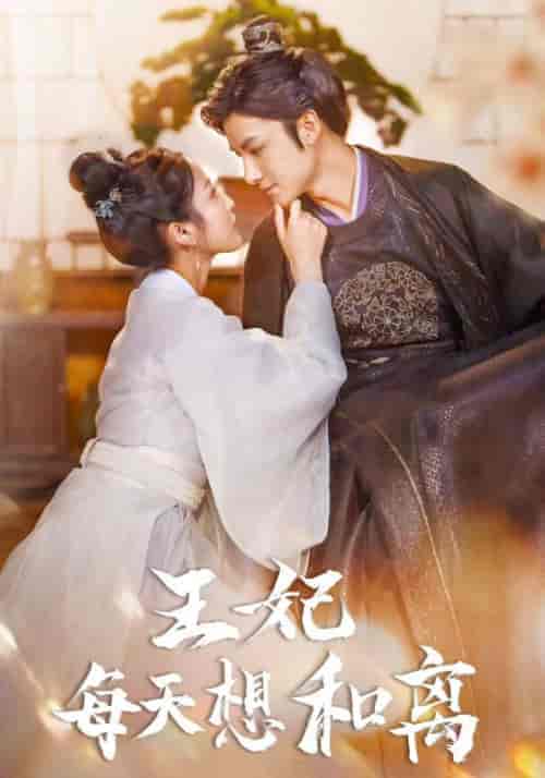 王妃每天想和离（97集） - 紫橙短剧