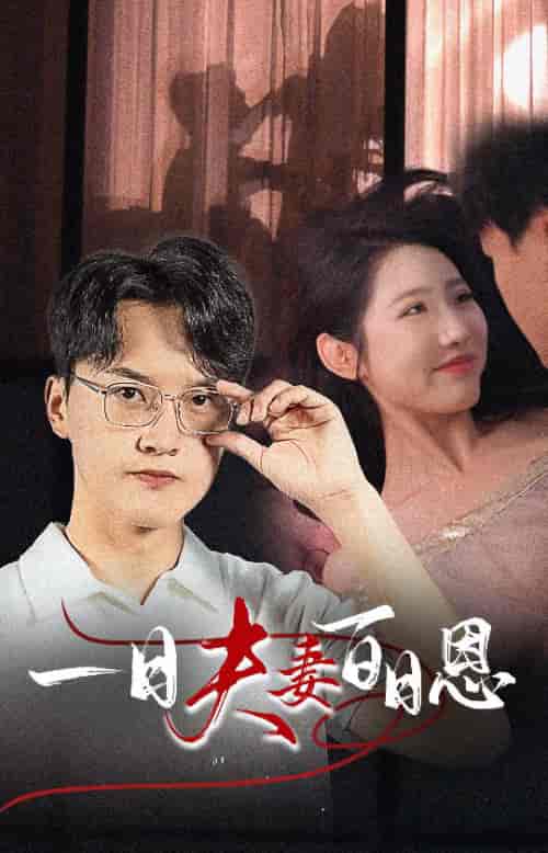 一日夫妻百日恩（30集全）-紫橙资源网