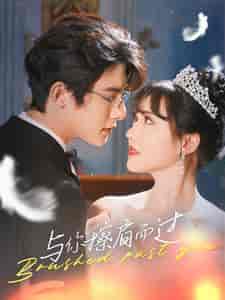 与你擦肩而过(80集)-紫橙资源网