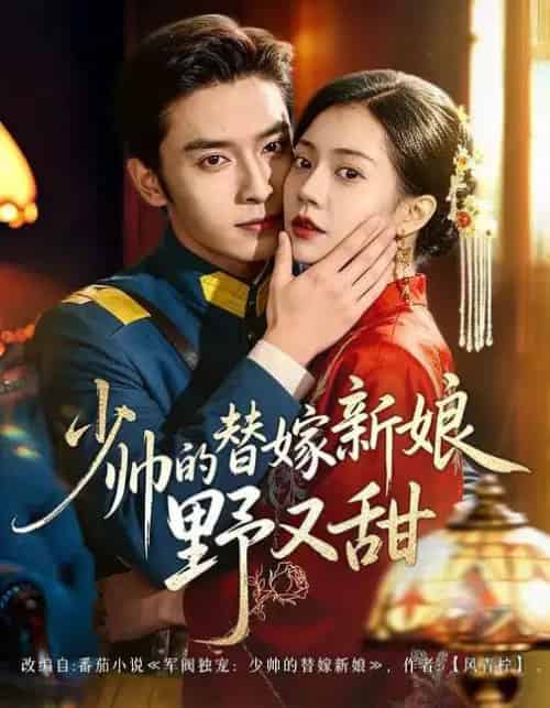 少帅的替嫁新娘野又甜（60集全）王博＆孙婉晴-紫橙资源网