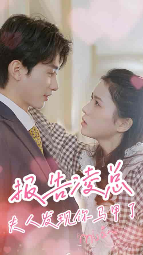 报告凌总，夫人发现你马甲了（80集）-紫橙资源网