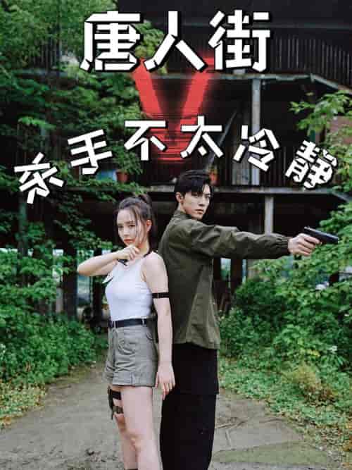 唐人街杀手不太冷静（20集）-紫橙资源网