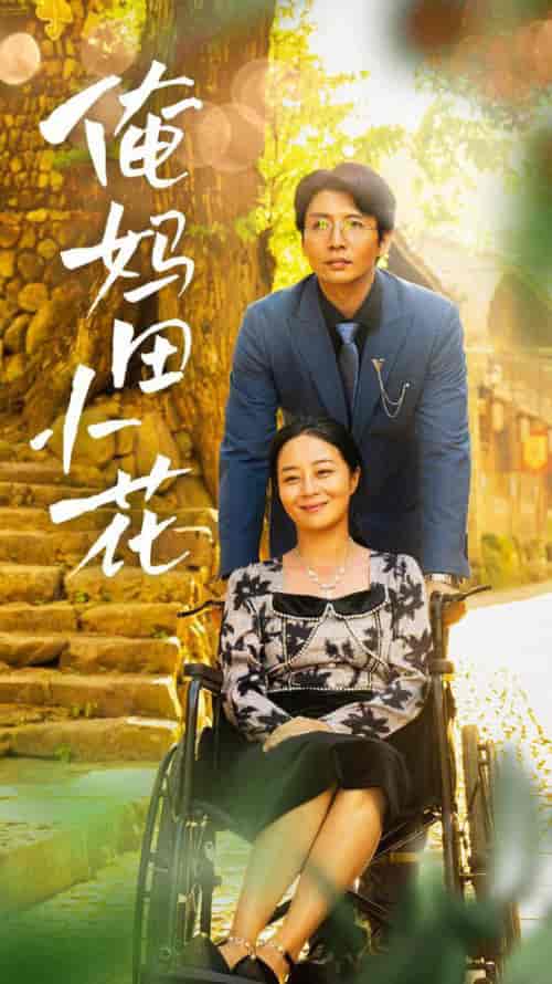 俺妈田小花（64集全） - 紫橙短剧