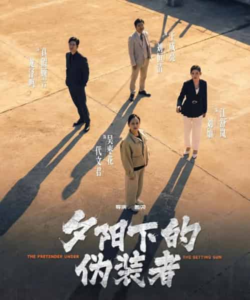 夕阳下的伪装者(47集全)刘灿&龙泽鸣-紫橙资源网