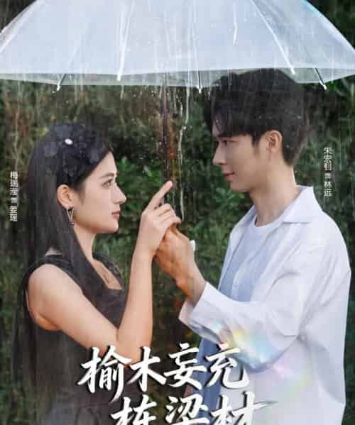 榆木妄充栋梁材（88集全）朱宏钊＆梅瑞滢-紫橙资源网