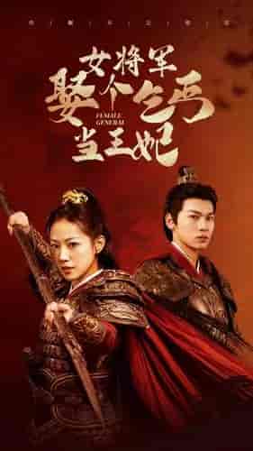 女将军娶个乞丐当王妃（94集）-紫橙资源网