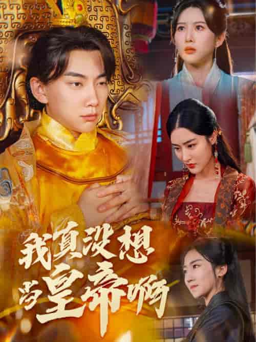 我真没想当皇帝啊（71集）-紫橙资源网