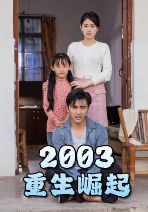 重生崛起2003（100集）-紫橙资源网