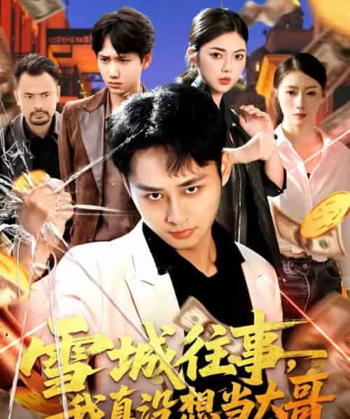雪城往事，我真没想当大哥（99集全）卢艺煊＆邵迪-紫橙资源网