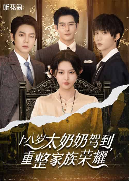 十八岁太奶奶驾到,重整家族荣耀(47集)李柯以&王培延&曾辉&赵廷义-紫橙资源网