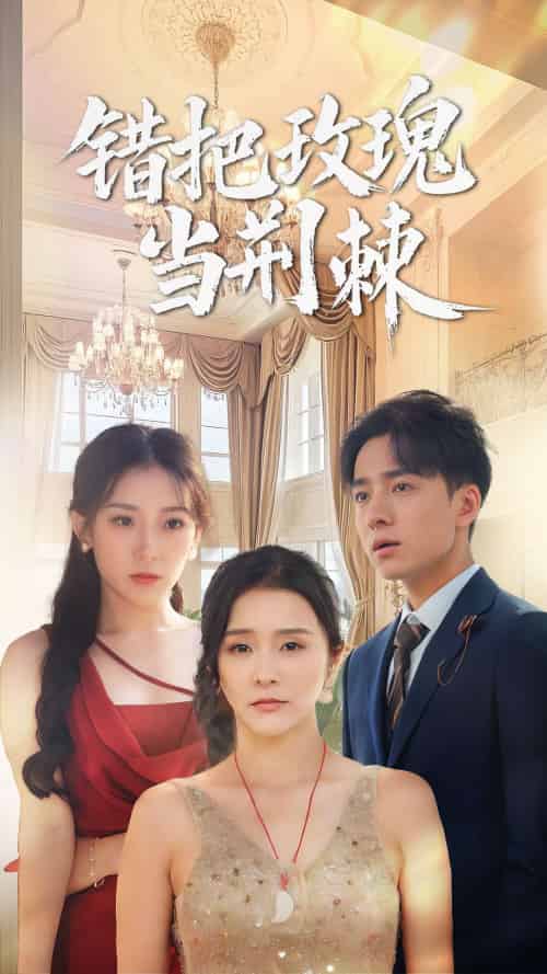 错把玫瑰当荆棘（40集）金大钟＆王蕾-紫橙资源网