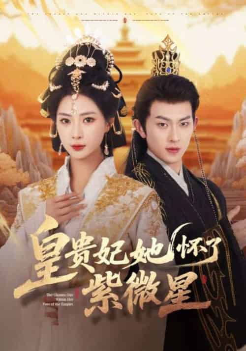 皇贵妃她怀了紫薇星（80集）陈添祥＆杨瑾羽-紫橙资源网