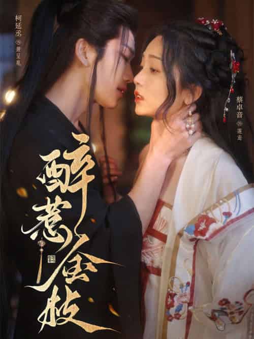 醉惹金枝(61集)柯延丞&蔡卓音-紫橙资源网