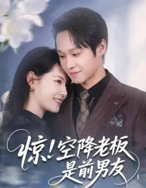 惊！空降老板是前男友（65集全）董洁＆王金泽-紫橙资源网