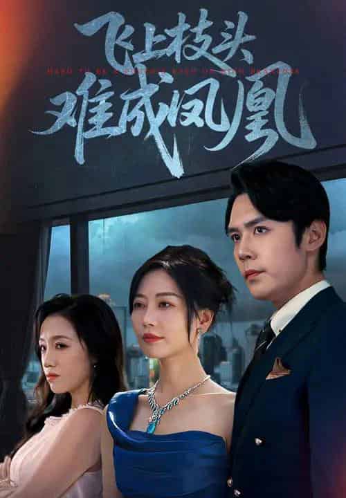 飞上枝头难成凤凰（47集全）刘清心＆王亦宸-紫橙资源网