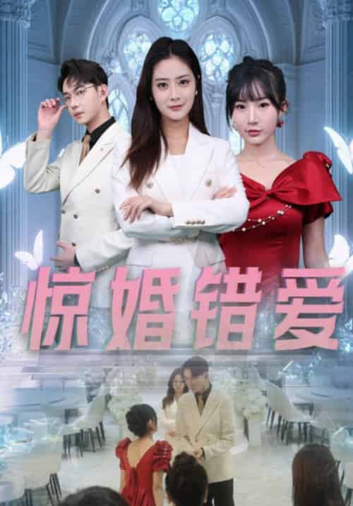 惊婚错爱（30集全）张文争＆傅安云-紫橙资源网
