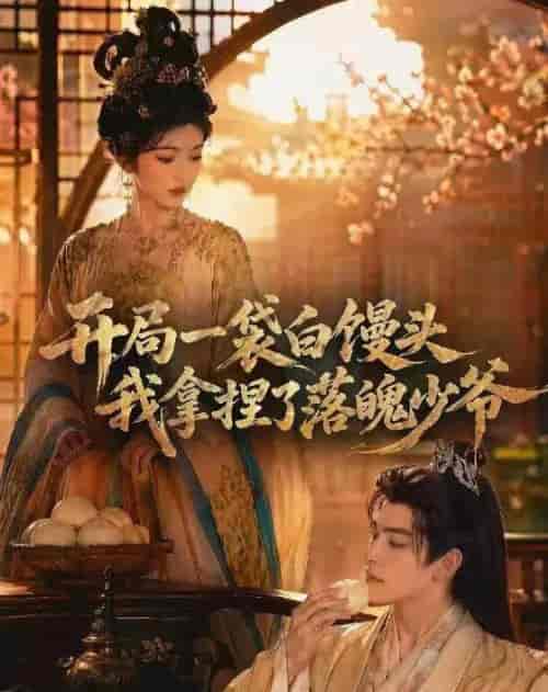 开局一袋白馒头，我拿捏了落魄少爷（40集全）AI短剧-紫橙资源网