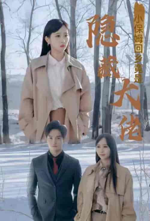 小保姆回乡竟是隐藏大佬（80集）-紫橙资源网