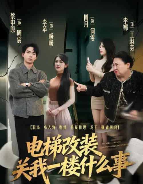 电梯改装关我一楼什么事(60集全)蔡中原&李竹钧-紫橙资源网