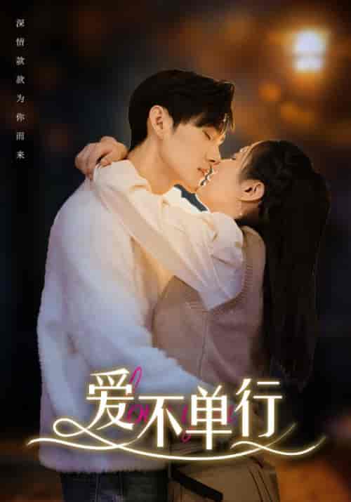 爱不单行（102集） - 紫橙短剧