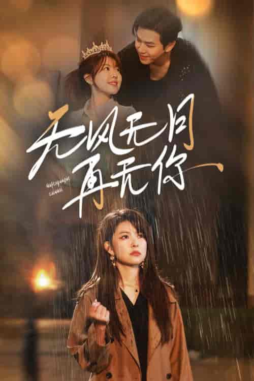 无风无月再无你（36集全）-紫橙资源网