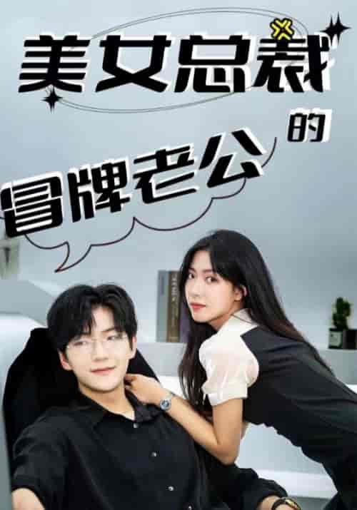 美女总裁的冒牌老公（100集全）郑百川＆梁潇潇-紫橙资源网