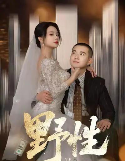 野性＆分手后，顶头上司要嫁我（70集全）阎论＆梦露-紫橙资源网