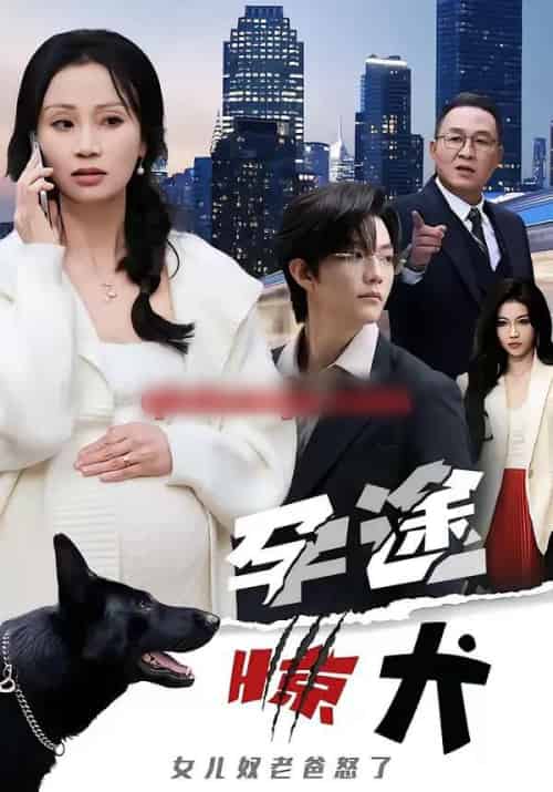 孕途惊犬，女儿奴老爸怒了（30集全）钱怡＆彭梓洋-紫橙资源网