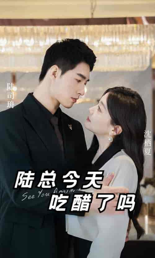陆总今天吃醋了吗（50集）-紫橙资源网