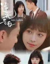 逆光告白（56集全）-紫橙资源网