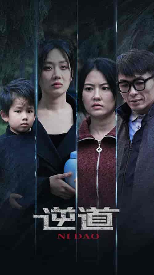 逆道（41集全） - 紫橙短剧