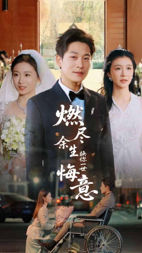 燃尽余生换你一世悔意(64集)张旋&程美华-紫橙资源网