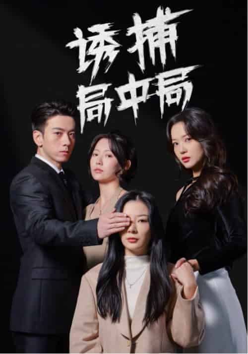 诱捕局中局＆夜色暗涌（42集全）孙飞翔＆林初-紫橙资源网