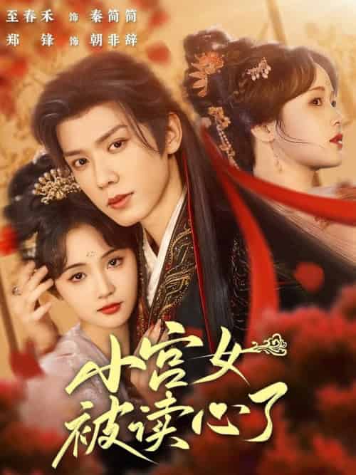 小宫女被读心了（66集全）郑锋＆至春禾-紫橙资源网