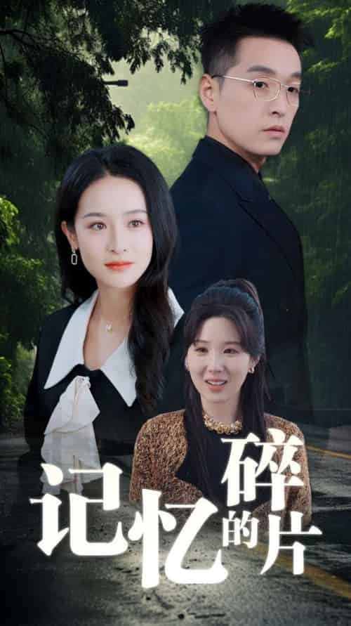 记忆的碎片（50集全）赵龙＆王蔼玲-紫橙资源网