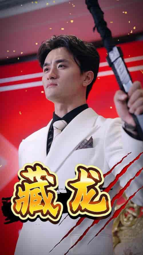 藏龙（30集）-紫橙资源网