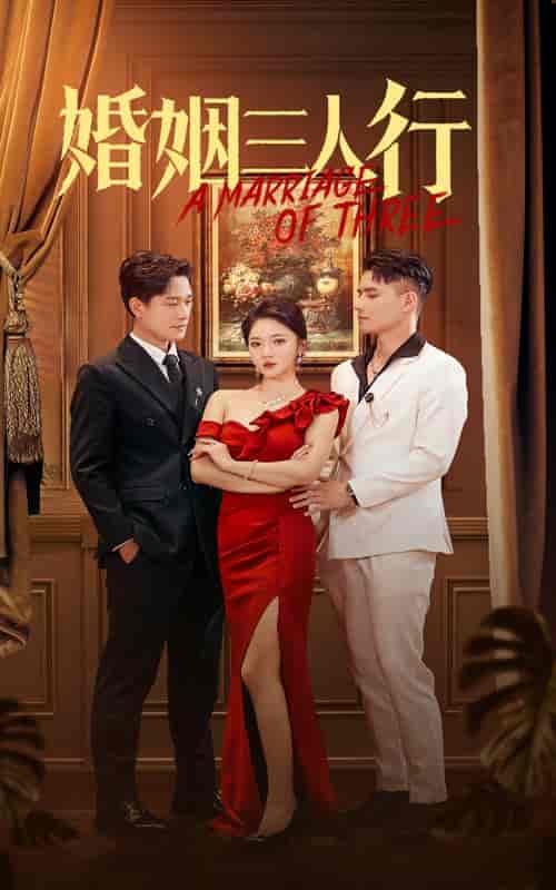 婚姻三人行（31集全）-紫橙资源网