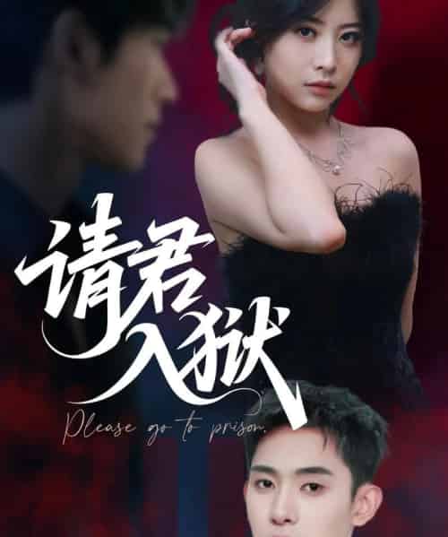 请君入狱（31集）刘雪莹＆李志一-紫橙资源网