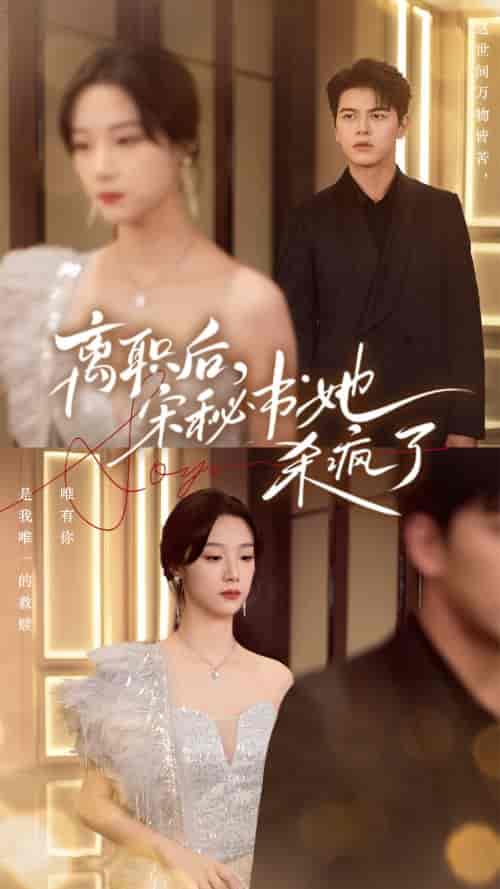 离职后,宋秘书她杀疯了(71集全)佐铭-紫橙资源网