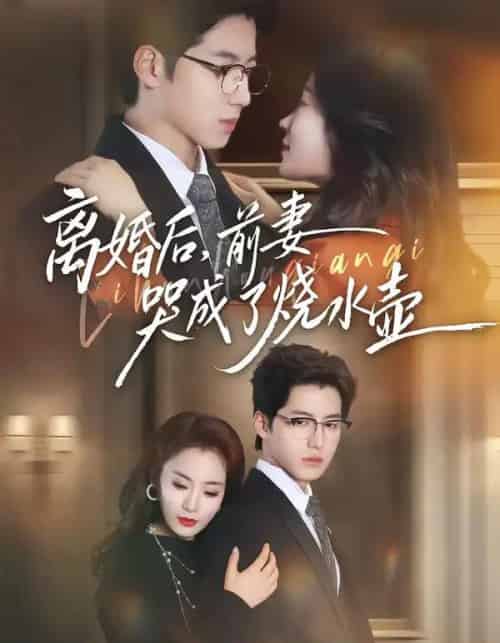 离婚后,前妻哭成了烧水壶(60集全)甜鹅&董星岩-紫橙资源网