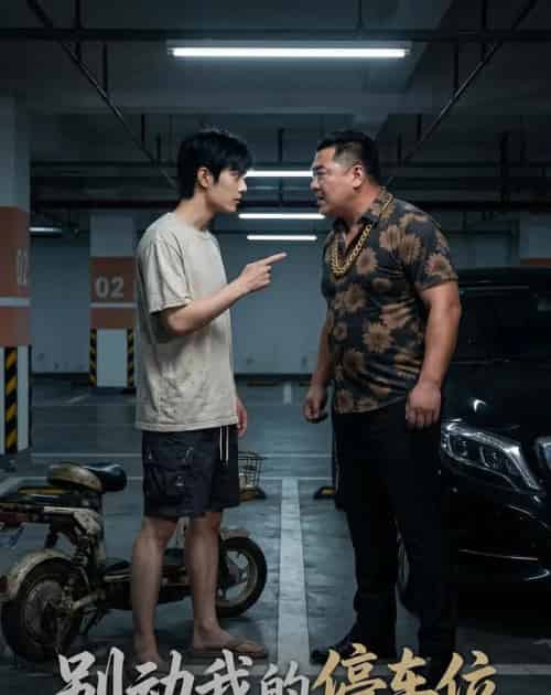 别动我的停车位（32集全）-紫橙资源网