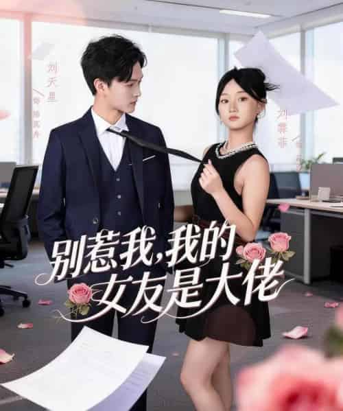 别惹我,我的女友是大佬 别惹我,我的女友是大佬