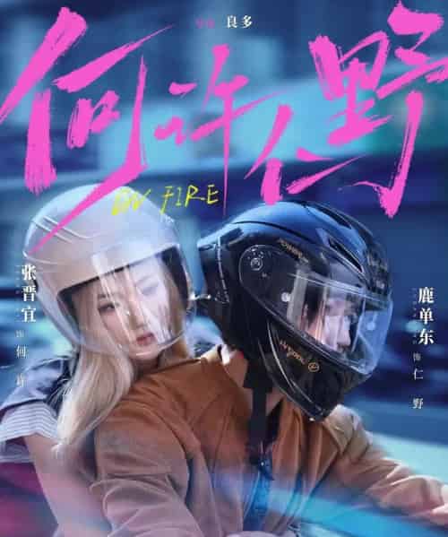 何许仁野（60集全）鹿单东＆张晋宜-紫橙资源网